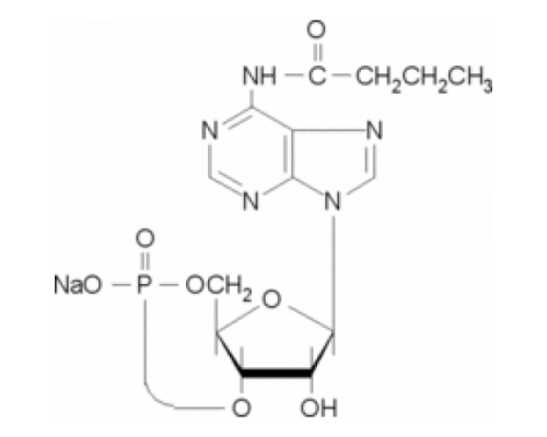 N6-Монобутириладенозин 3 ': 5'-циклическая монофосфатная натриевая соль Sigma M1380