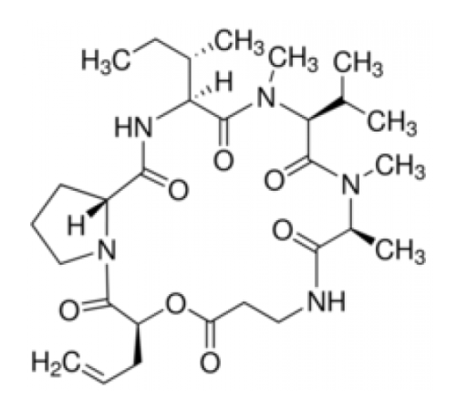 Деструксин А из Metarrhizium anisopliae 90% (ВЭЖХ) Sigma D4921