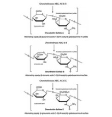 Хондроитиназа B из лиофилизированного порошка Flavobacterium heparinum (с BSA в качестве стабилизатора) Sigma C8058