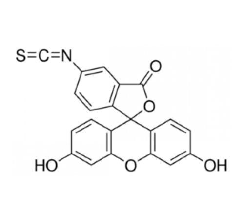 Флуоресцеин 5 (6βизотиоцианат 90% (ВЭЖХ) Sigma F3651