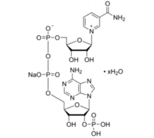 Гидрат натриевой соли -никотинамидадениндинуклеотидфосфата Sigma N0505
