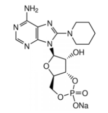 8-PIP-cAMP 98% (ВЭЖХ), твердый Sigma P0872