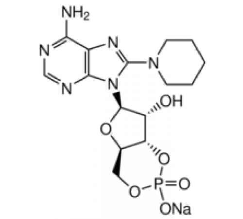 8-PIP-cAMP 98% (ВЭЖХ), твердый Sigma P0872