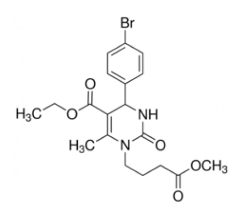 SW02 Sigma S5951