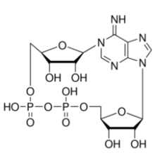 Циклический аденозиндифосфат-рибоза 90% (ВЭЖХ), лиофилизированный порошок Sigma C7344