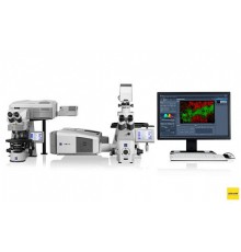 Микроскоп конфокальный LSM 710, лазерный сканирующий, Zeiss