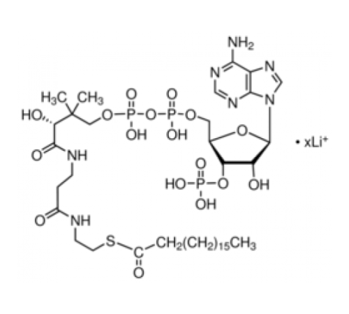 Литиевая соль стеароил-кофермента А 90% Sigma S0802