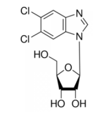 5,6-дихлорбензимидазол ββ D-рибофуранозид Sigma D1916