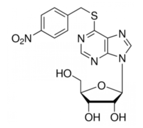 S- (4-нитробензилβ6-тиоинозин 98%, твердый Sigma N2255