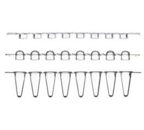 Пробирки для ПЦР в стрипах, 0,2 мл, 1х8, с ультра прозрачными плоскими крышками, низкий профиль, бесцветные, полипропилен, 250 шт/уп., Thermo FS
